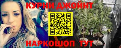 стаф Бугуруслан