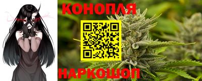 стаф Бугуруслан