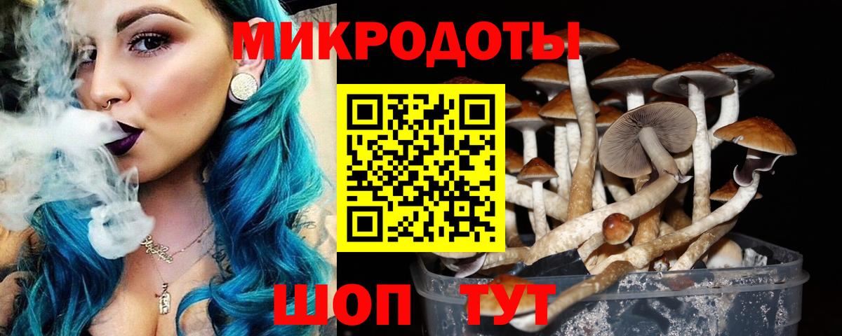 Галлюциногенные грибы Psilocybe Щёлково